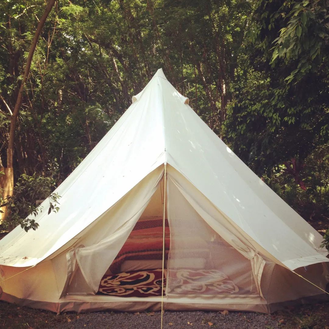 帐篷户外3-4人全自动速开双人沙滩露营 简易速开多人防雨野营帐篷-阿里巴巴